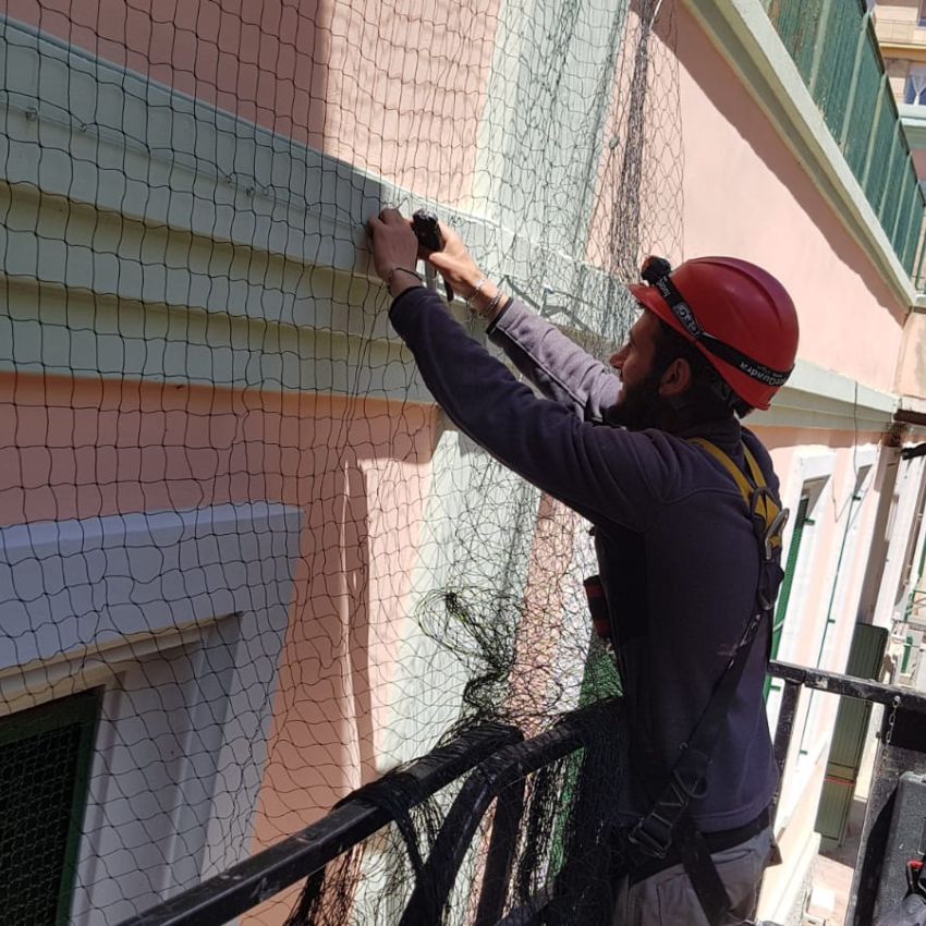 Falco installazioni disinfestazioni