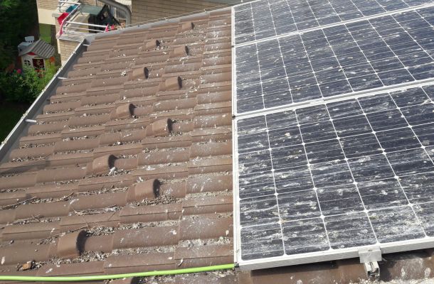 Allontanamento piccioni dai pannelli solari e fotovoltaico