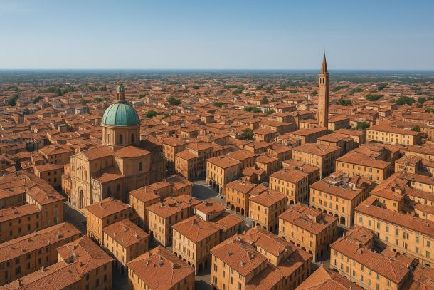 Professionisti Allontanamento Piccioni Reggio-Emilia