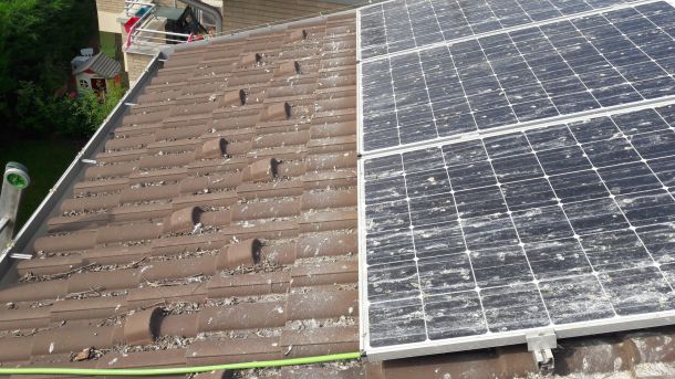 Allontanamento dei piccioni da pannelli solari e dal fotovoltaico
