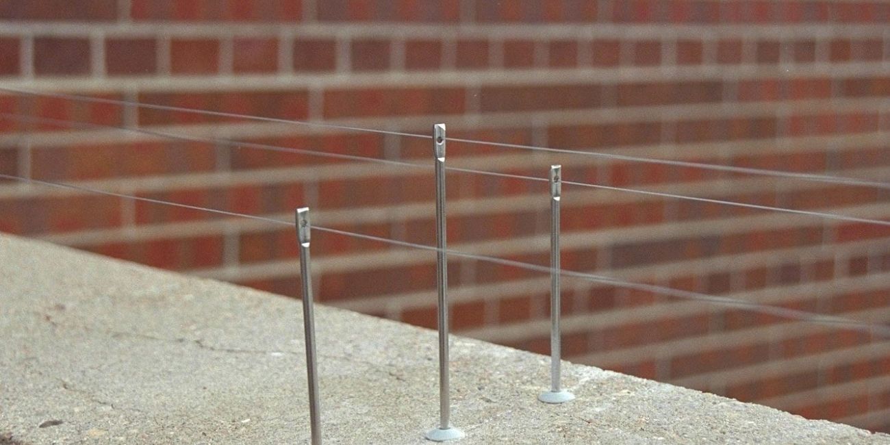 ll Filo Ballerino per Allontanare i Piccioni: Funzionamento, Vantaggi e Limiti