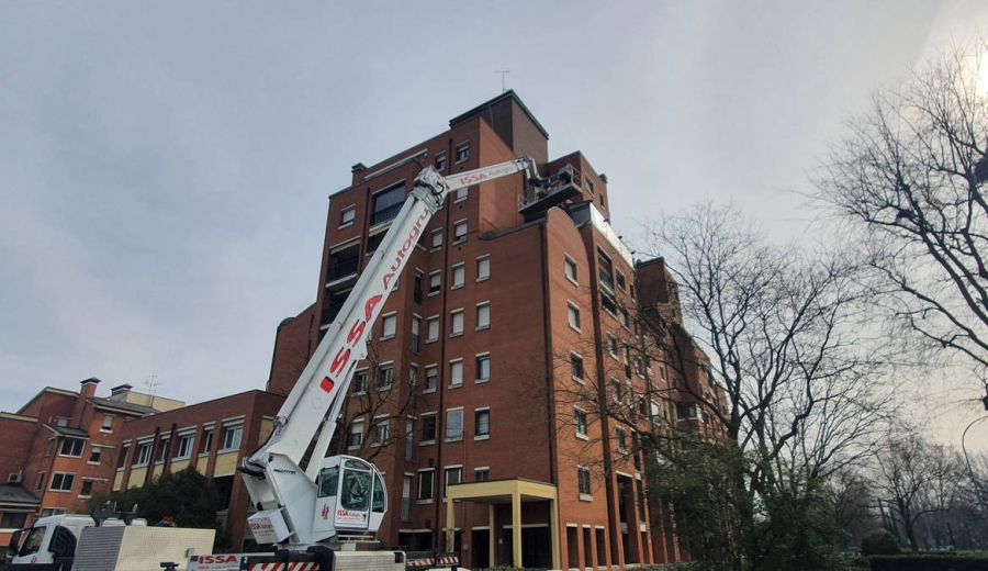 Piccioni e condominio. La Guida definitiva: la legge ,cosa fare e come risolvere