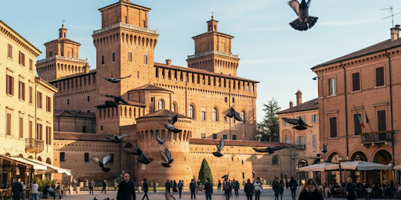 allontanamento piccioni Ferrara Falco Installazioni