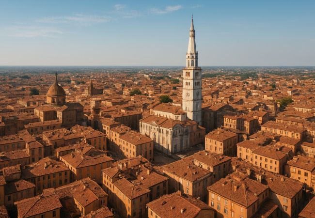 Allontanamento Piccioni a Modena – Professionisti dal 1994