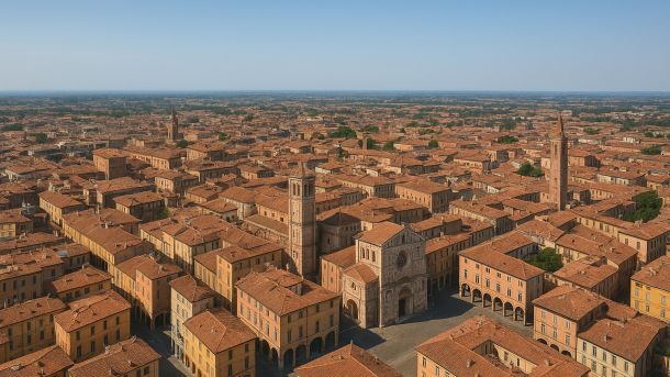 Allontanamento piccioni a Rovigo e provincia