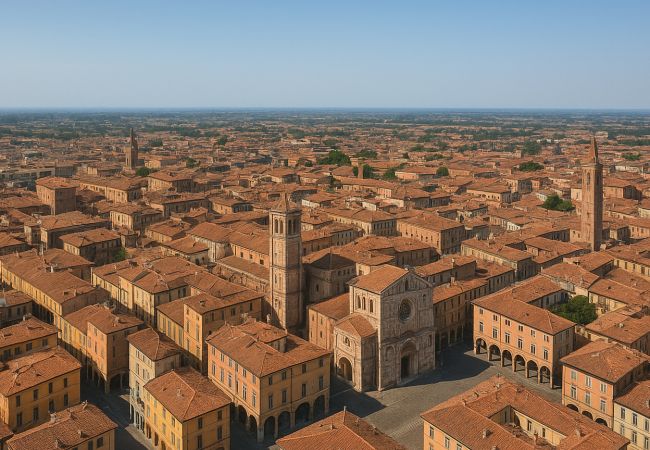 Allontanamento piccioni a Rovigo e provincia