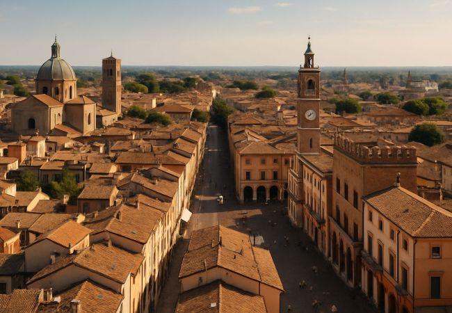 Allontanamento Piccioni Rimini – Professionisti dal 1994