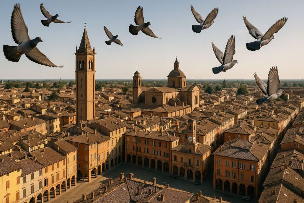 Allontanamento Piccioni Imola – Falco Installazioni dal 1994