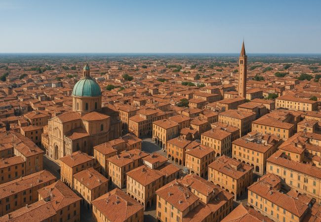 Allontanamento Piccioni a Reggio Emilia – Dal 1994 con voi