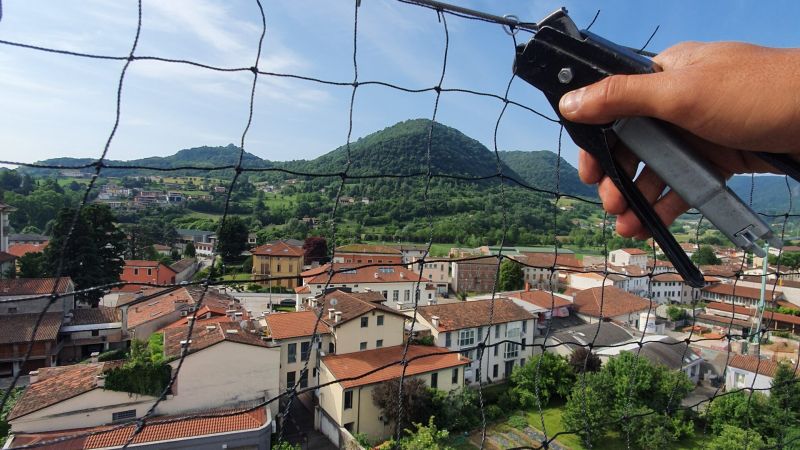 Reti Antiintrusione Volatili Falco Installazioni  -2