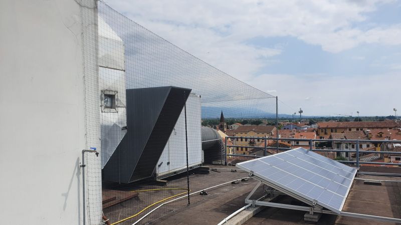 Reti Antiintrusione Volatili Falco Installazioni  -5