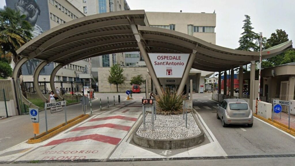 Ospedale S.Antonio a Padova - Installazione di rete anti piccioni