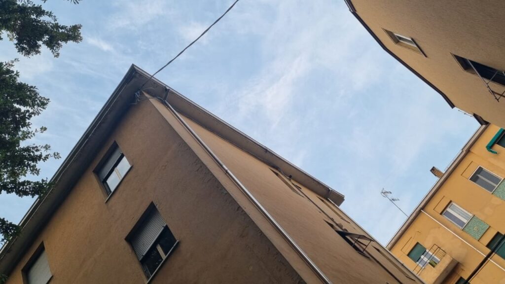 Allontanamento piccioni Parma dal tetto del condominio Via Digione(PR)