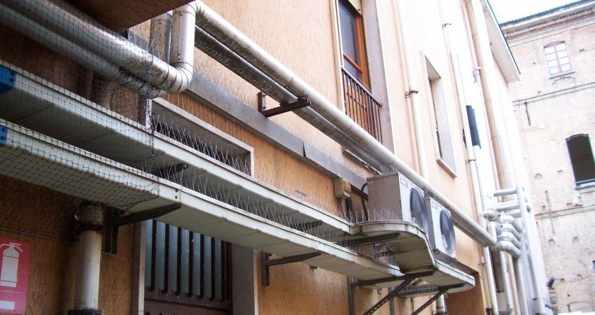 Dissuasori Meccanici – Spilli e filo ballerino